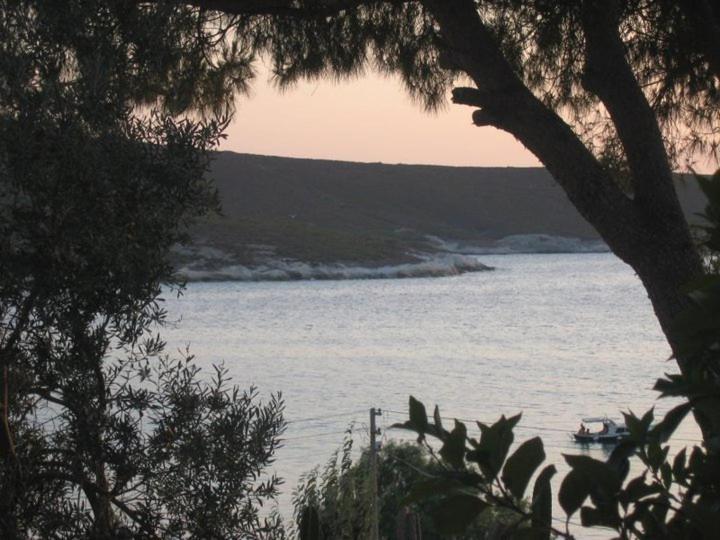 Teras Motel Foca Exterior photo